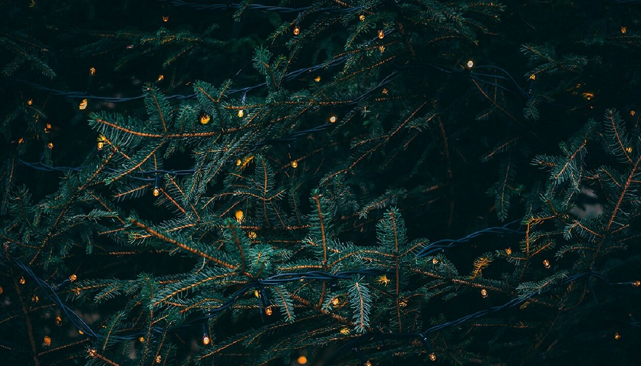 Xριστουγεννιάτικο δέντρο ©Unsplash