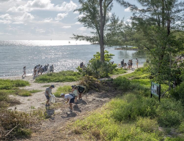Εθελοντές συντηρούν μαγκρόβια στο Μαϊάμι της Φλόριντα © EPA/CRISTOBAL HERRERA-ULASHKEVICH
