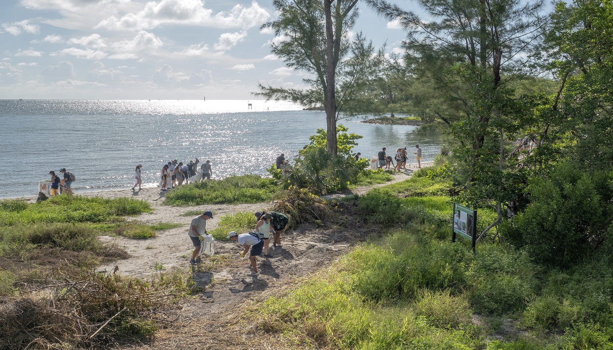 Εθελοντές συντηρούν μαγκρόβια στο Μαϊάμι της Φλόριντα © EPA/CRISTOBAL HERRERA-ULASHKEVICH