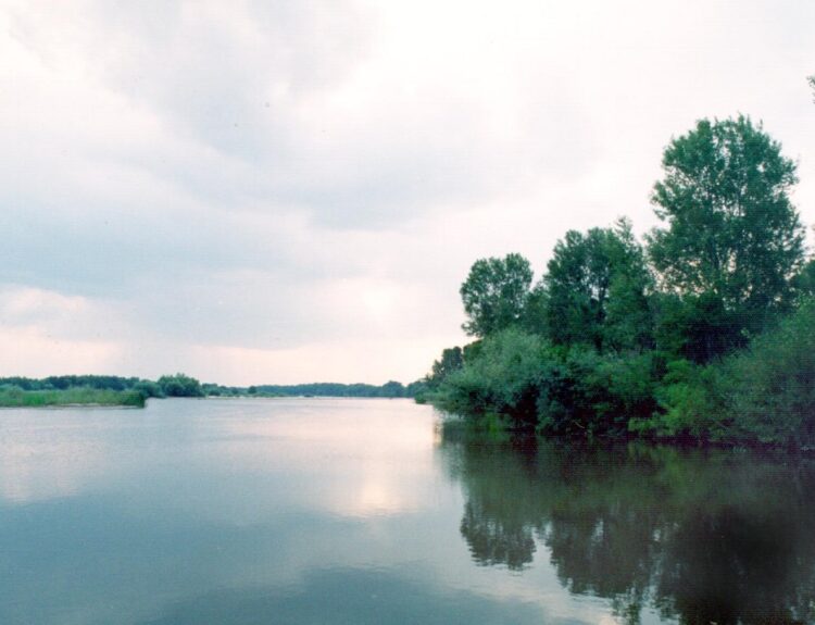 Ποταμός άρδας ©ΑΠΕ