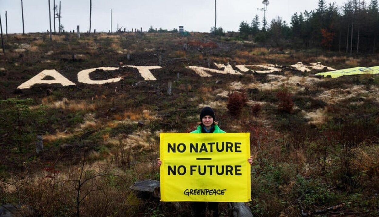 Greenpeace ©https://www.greenpeace.org/greece/issues/perivallon/54541/epistoli-ton-green10/?_gl=1*75sp3f*_up*MQ..*_ga*NzA0NTIzNjgxLjE3MjA1MjI4NDI.*_ga_W7N9RN8N1M*MTcyMDUyMjg0MS4xLjAuMTcyMDUyMjg0MS4wLjAuOTg2NjMxMjE2*_ga_0CCB1GTVV6*MTcyMDUyMjg0MS4xLjAuMTcyMDUyMjg0MS4wLjAuMA..*_ga_RCP3YRV7K2*MTcyMDUyMjg0MS4xLjAuMTcyMDUyMjg0MS4wLjAuMA..