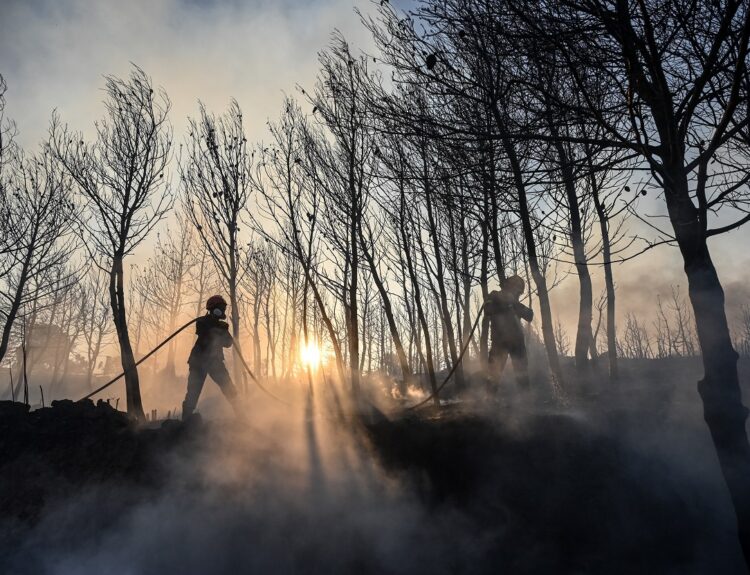 Πυρκαγιά στην Σταμάτα Αττικής © Eurokinissi