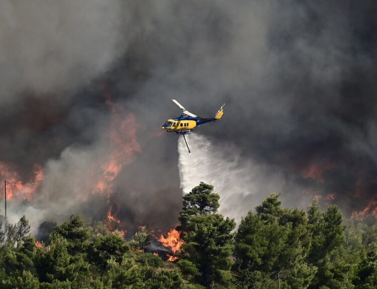 Πυρκαγιά στον Βαρνάβα Αττικής © ΜΙΧΑΛΗΣ ΚΑΡΑΓΙΑΝΝΗΣ / EUROKINISSI