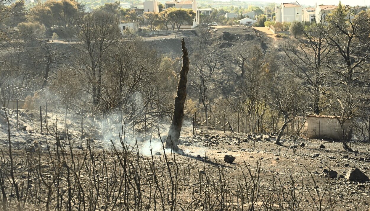 Πυρκαγιά στη Βορειοανατολική Αττική. Επόμενη ημέρα © EUROKINISSI