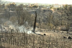 Πυρκαγιά στη Βορειοανατολική Αττική. Επόμενη ημέρα © EUROKINISSI