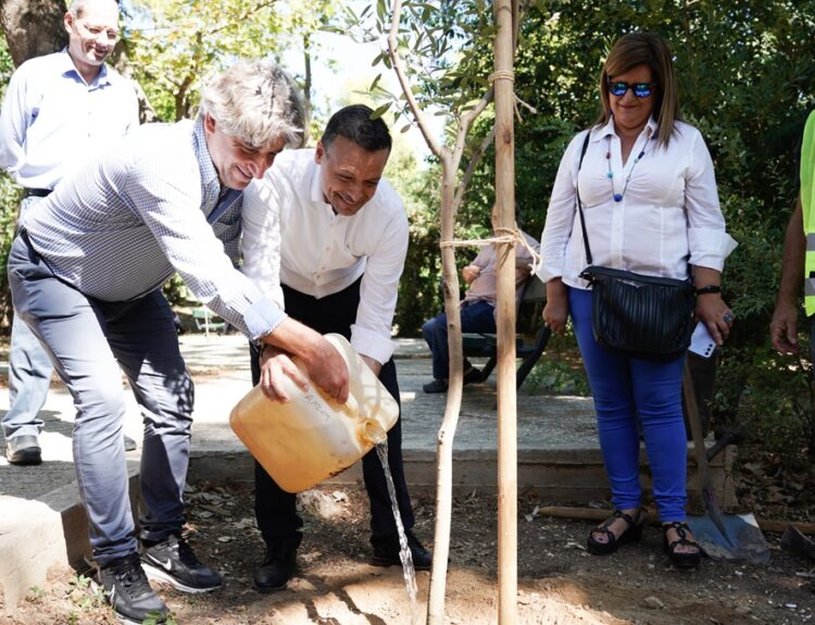 φύτευση δέντρων © Δήμος Αθηναίων