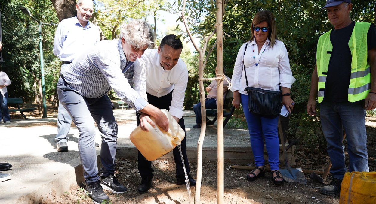 φύτευση δέντρων © Δήμος Αθηναίων