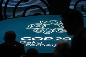 COP29