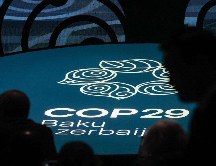 COP29