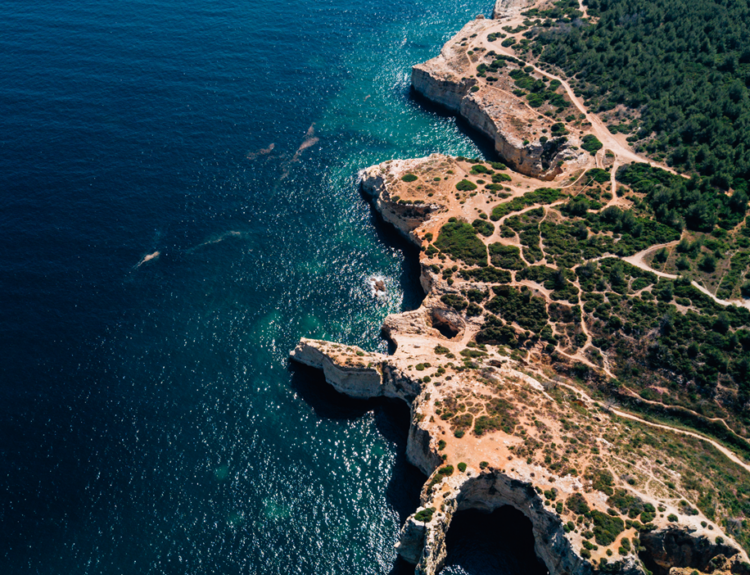 ΜΕΣΟΓΕΙΟΣ ΘΑΛΑΣΣΑ