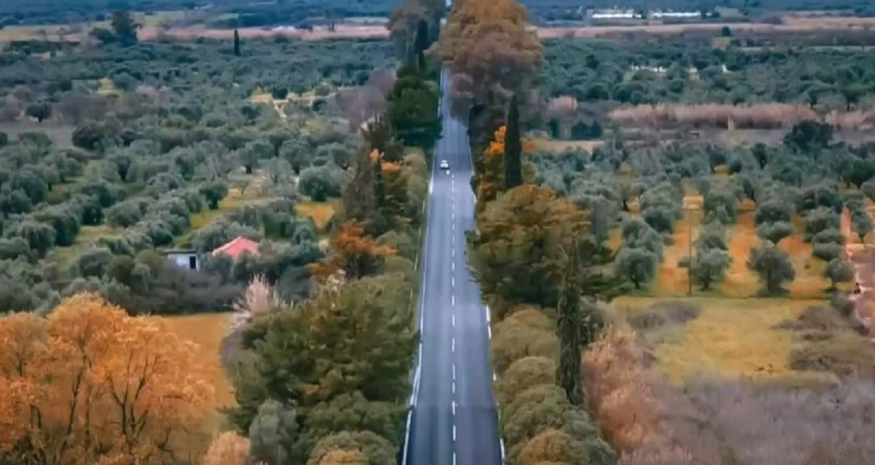 ΑΞΟΝΑΣ ΠΥΡΓΟΣ ΚΑΛΟ ΝΕΡΟ ΤΣΑΚΩΝΑ